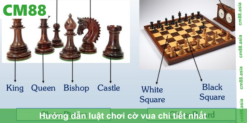Hướng dẫn luật chơi cờ vua chi tiết nhất 