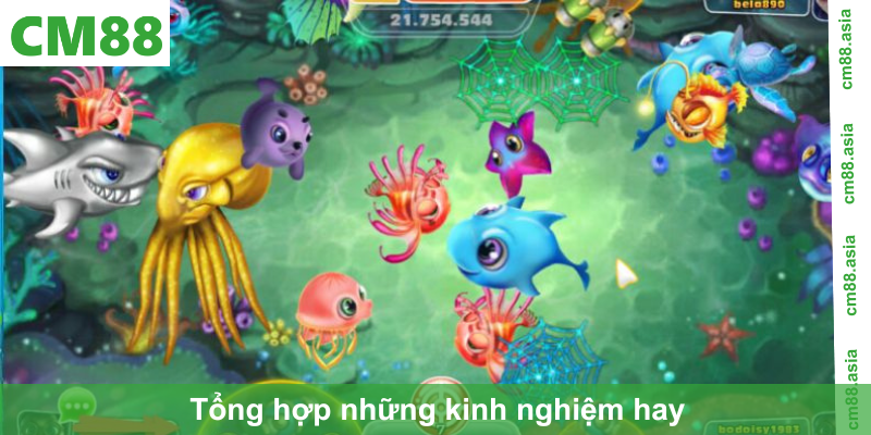 Tổng hợp những kinh nghiệm hay